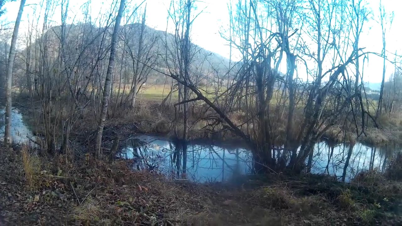 HD Unterwasserwelt 01-02 @NaturgartenEuring