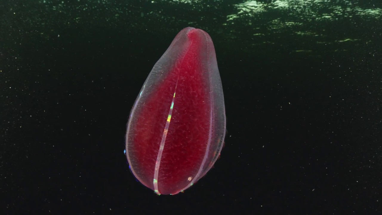 Feeding meditation. Om. Nom nom.