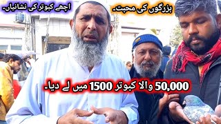 Lahore Lari Adda kabootar mandi لاری اڈا کبوتر منڈی || Pigeons Gallery ||