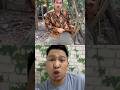 es krim permen dan baju tersangkut