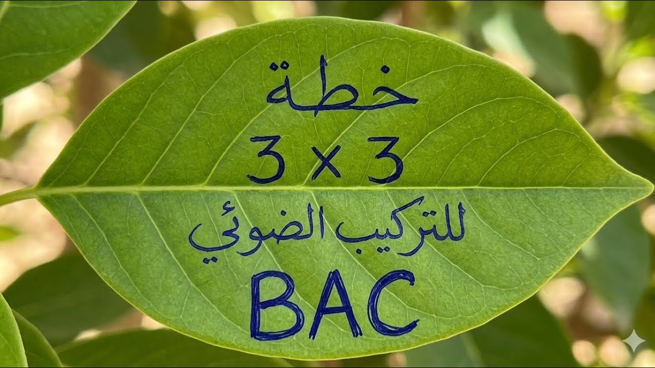 خطة 33 لدراسة التركيب الضوئي💫قداه لازم تحل تمرين ؟ وين تركز  | بكالوريا 2026 