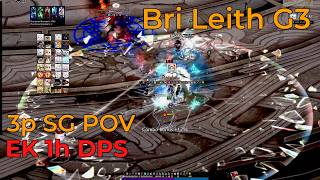 [Mabinogi] Bri Gate 3 3p SG POV (EK DPS) 14:23 Remaining Clear