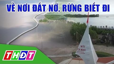 Về nơi đất nở, rừng biết đi (Cà Mau) | THDT