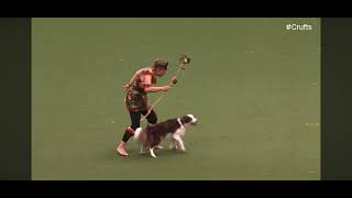 Grietje & Onyx Crufts 2024 International freestyle competition