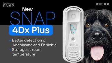 IDEXX SNAP | The most trusted rapid assay test for Veterinarians