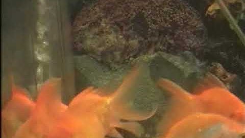 أذكار المساء | بصوت ياسر أبو عمار