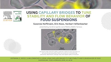 Using capillary bridges to tune stability and flow behavior of food suspensions