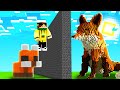 NICO HA IMBROGLIATO MARCY NELLA GARA DI COSTRUZIONE DI MINECRAFT