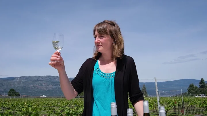 O'Rourke's Peak Cellars re-opens; showcases newest...