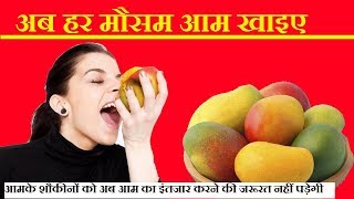 अब हर मौसम आम खाइए - Mango Freezing Tips In Hindi -How to Freeze Mangoes | Mango Freezing Tips