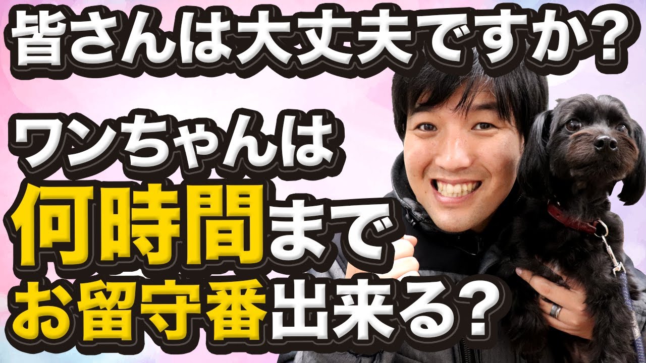 ワンちゃんの適正なお留守番時間について Youtube