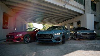 Mustang Stampede