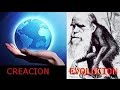 Creación contra Evolución