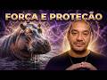 Quando o Hipopótamo Aparece, Sua Força Interior Está Tentando Despertar