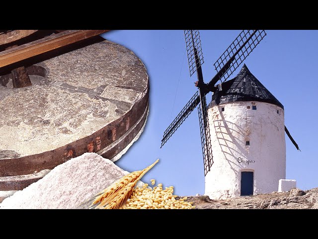 Mechanism of a GIANT WINDMILL to make flour through the grinding