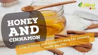 Honey and Cinnamon For  Amazing Health Benefits | 1 Tsp daily in morning