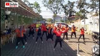 DJ Satu Rasa Cinta REMIX // Tiktok // Senam kreasi // Ellysha Channel