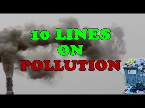 5 sentences about pollution