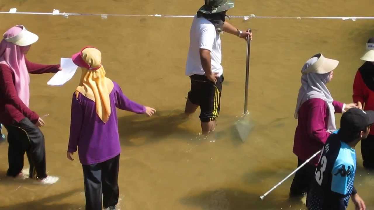 Bed load measurement YouTube