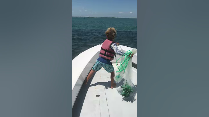 Terbaik di Kelasnya: Anak Laki-laki Kecil Menjaring Kawanan Ikan Sambil Menangkap Umpan untuk Ayahnya