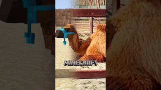 Курица, павлин и верблюд в Minecraft 🐔🦚🐫