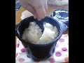 ちょい炊き 電子レンジ専用 炊飯器 新ちびくろちゃん 2合