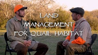 Land Management For Quail Hunting  With Dan Hinkle in South Texas