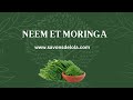 Savon neem moringa