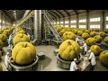 How Amazing Thai Farmers Harvest Jackfruit – Street Food & Farming Documentary I Process Vision