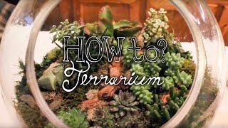 Make a Succulent Terrarium  How to Terrarium ep. 1