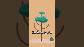 B+ Tree in DATA STRUCTURE  in a simple story # #datastructures#shorts #short