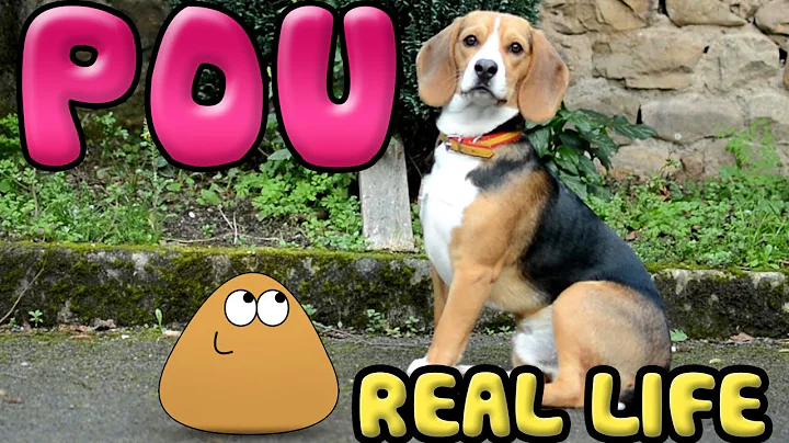 Pou in real life!