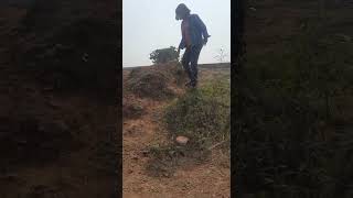 VID 20211105 WA0008