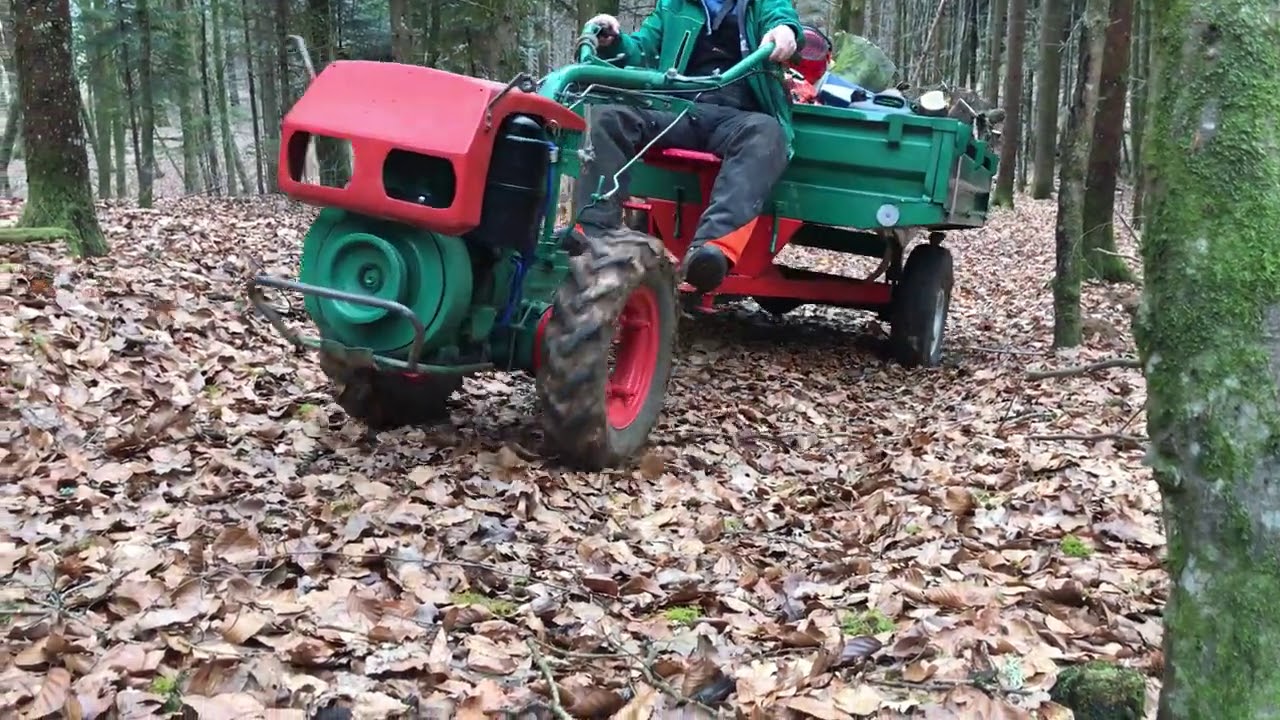 Labin Progres (GOLDONI) 14HP diesel - FIREWOOD DRIVING