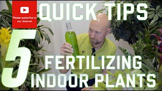 5 quick tips Fertilizing your indoor plants
