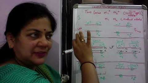 Introduction to COMPLEMENTATION parta