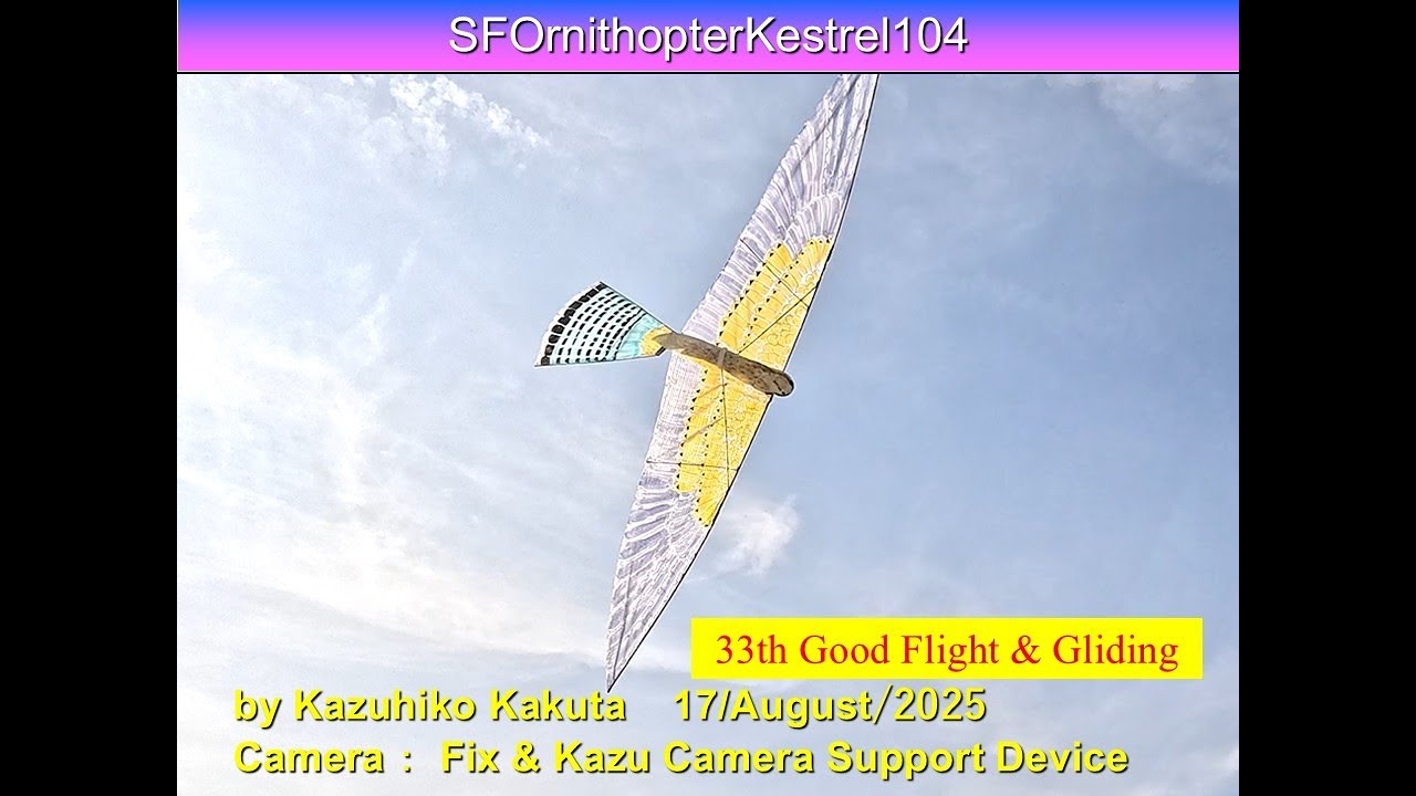 翼ページ サーボ駆動チョウゲンボウ型羽ばたき機 SFOKestrel104 39g