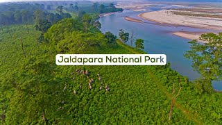 Gateway To The Northeast Jaldapara National Park