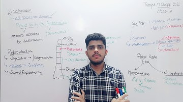 Classification of algae #mducee2023 #mducee  #chlorophyceae #volvox #oedogonium | Lect-6