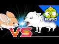 사막여우 vs 북극여우 | 동물배틀 | 동물만화 | 깨비키즈 KEBIKIDS