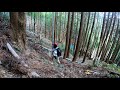 #541【山】切った竹を片づける