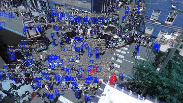 RetinaNet Object Detection - 2