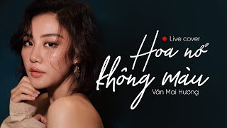 HOA NỞ KHÔNG MÀU (HOÀI LÂM) - VĂN MAI HƯƠNG | LIVE COVER