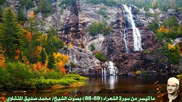 ما تيسر من سورة الشعراء (69-88) بصوت الشيخ/ محمد صديق المنشاوي