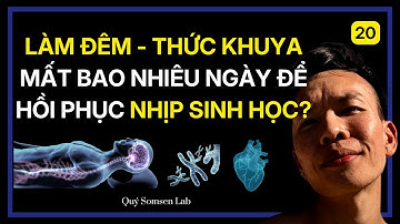 1 đêm thức trắng: chiến lược 48 giờ để khôi phục nhịp sinh học | Quý Somsen Lab