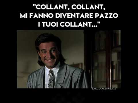 08.COMPAGNI DI SCUOLA - COLLANT COLLANT