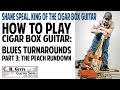 How to Play Cigar Box Guitar - Blues Turnarounds Pt 3: "The Peach Rundown"