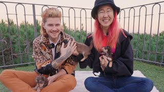 2SAXY Plays With Puppies While Answering Fan Questions (feat. Pup Culture Rescue)