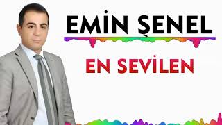 Emin Şenel dost değil 2020 Resimi