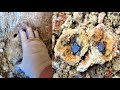 A RARE Twin Smoky Crystal Geode | Mooralla Video #4